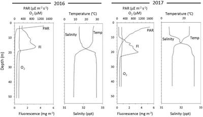 Diel Patterns in Marine Microbial Metatranscriptomes Reflect Differences in Community Metabolic Activity Over Depth on the Continental Shelf of the North Atlantic